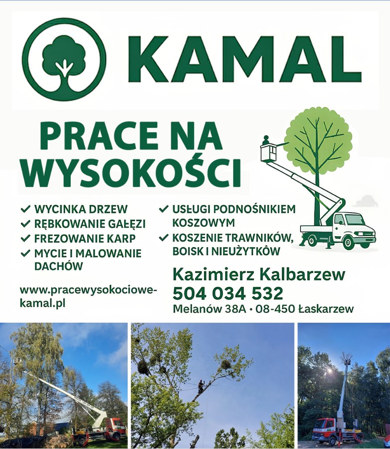 wycinka drzew GARWOLIN